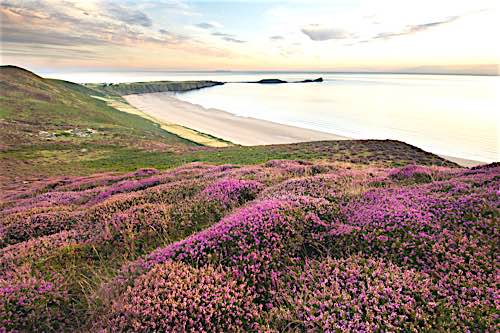 Worm’s Head and Rhossilli Bay